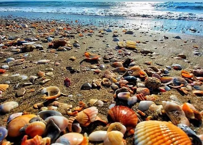 Pacific Palma Szálloda